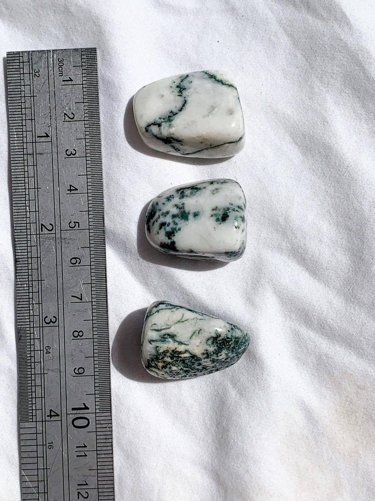 Tree Agate Tumbles | Medium - Unearthed Crystals