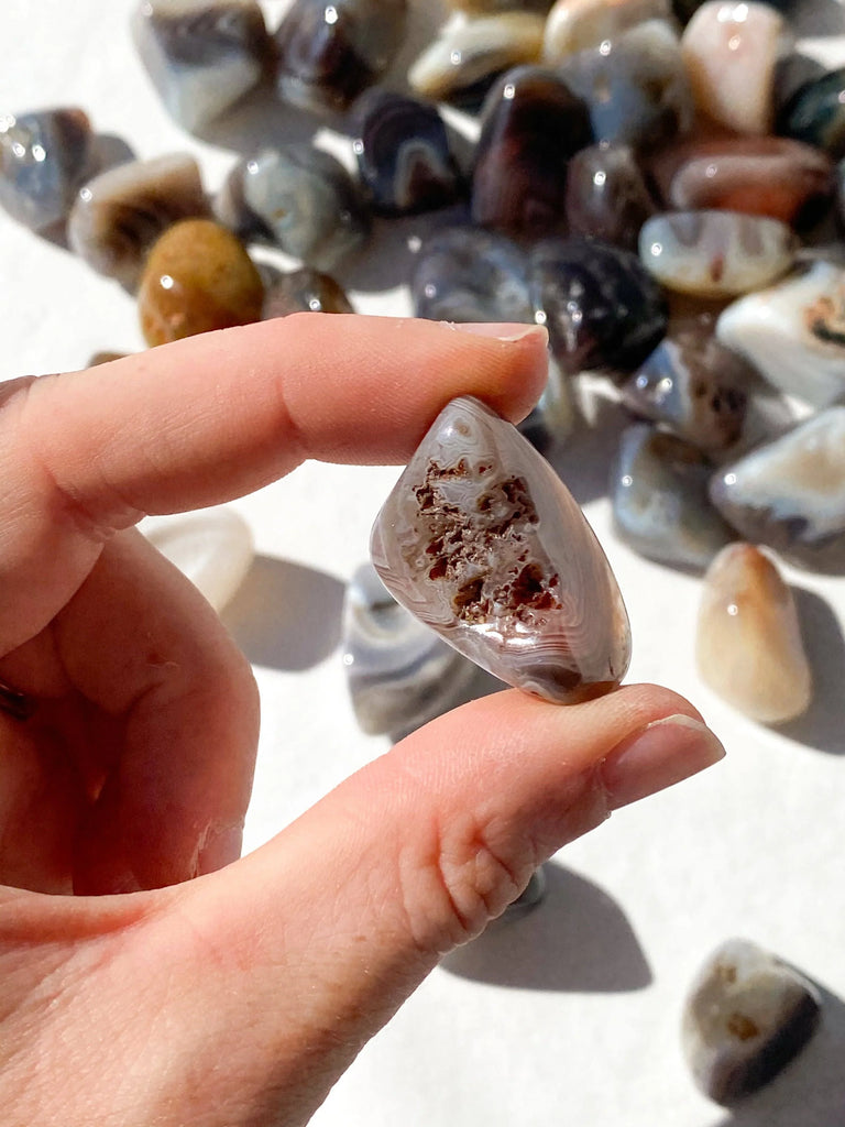 Botswana Agate Tumbles | Small - Unearthed Crystals
