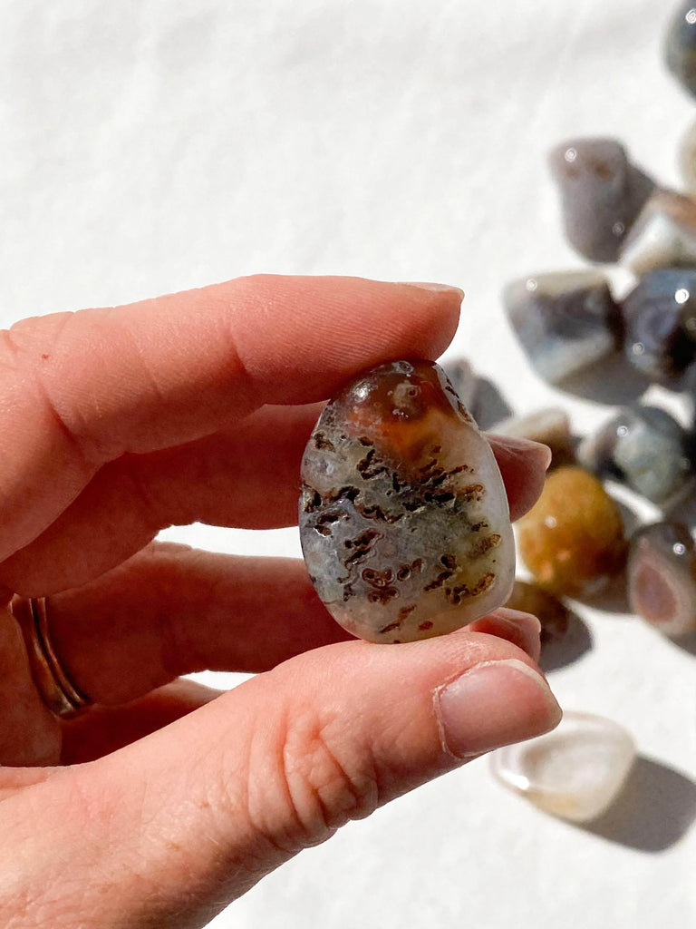 Botswana Agate Tumbles | Small - Unearthed Crystals