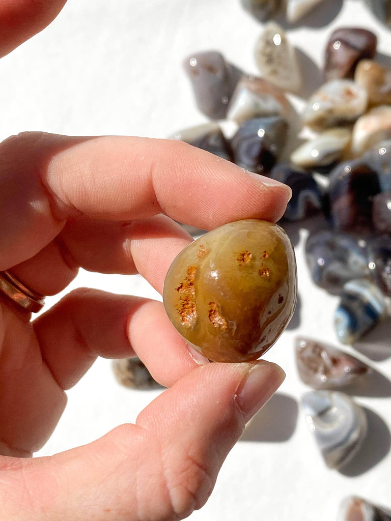 Botswana Agate Tumbles | Small - Unearthed Crystals