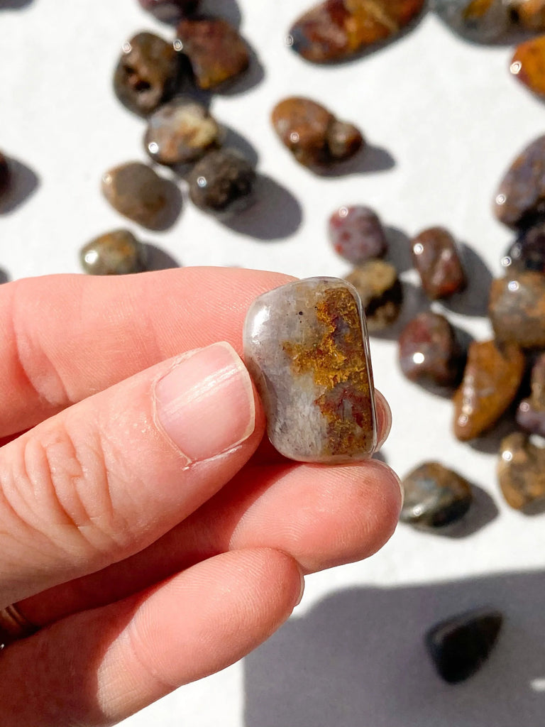 Pietersite Tumbles | Mini - Unearthed Crystals