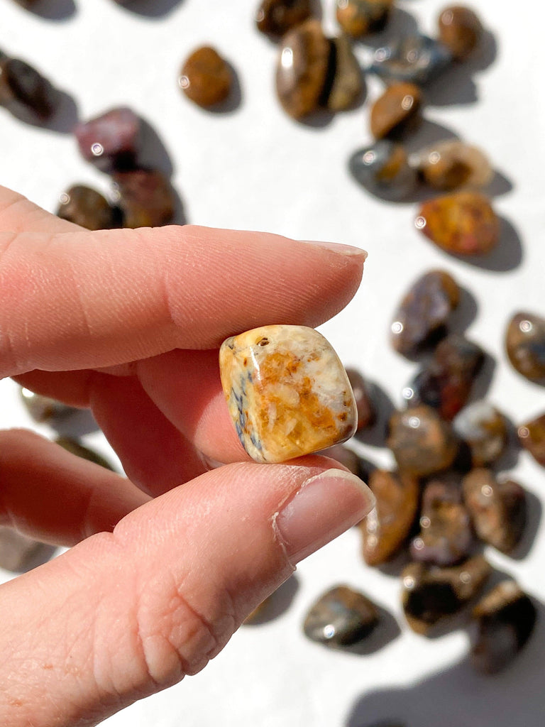 Pietersite Tumbles | Mini - Unearthed Crystals