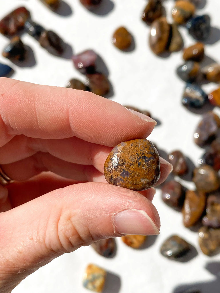 Pietersite Tumbles | Mini - Unearthed Crystals
