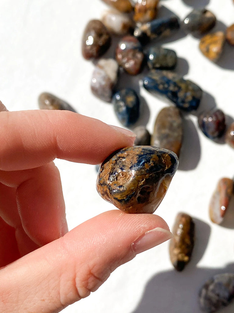 Pietersite Tumbles | Small - Unearthed Crystals