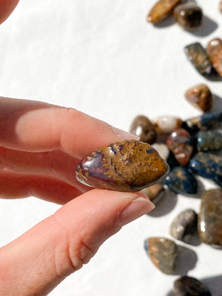Pietersite Tumbles | Small - Unearthed Crystals
