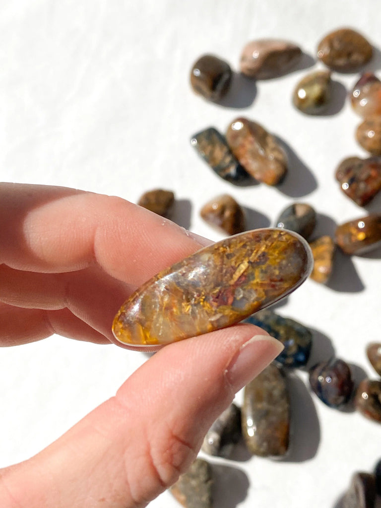 Pietersite Tumbles | Small - Unearthed Crystals