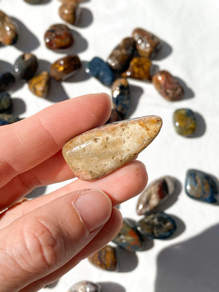 Pietersite Tumbles | Small - Unearthed Crystals