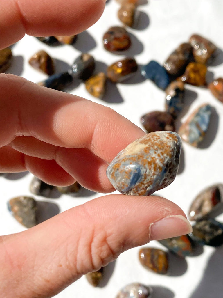 Pietersite Tumbles | Small - Unearthed Crystals