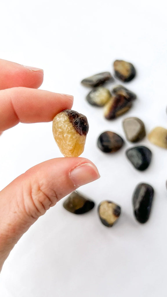 Septarian Tumbles | Mini - Unearthed Crystals