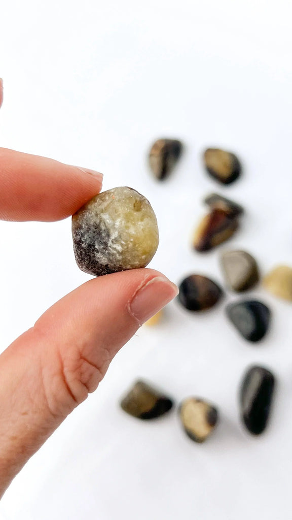 Septarian Tumbles | Mini - Unearthed Crystals