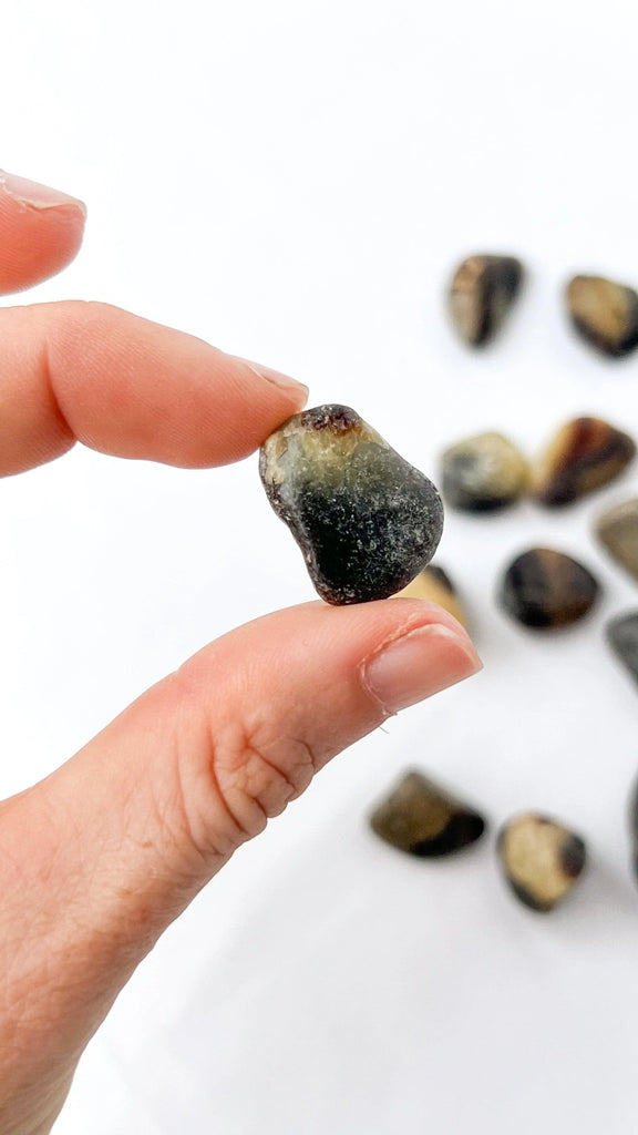 Septarian Tumbles | Mini - Unearthed Crystals