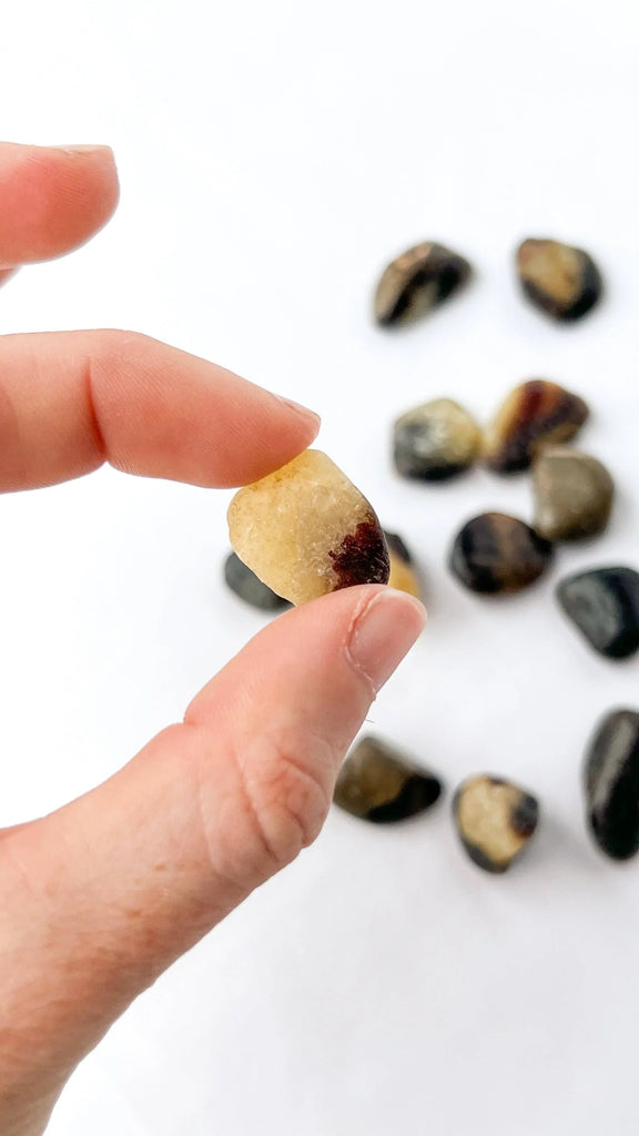 Septarian Tumbles | Mini - Unearthed Crystals