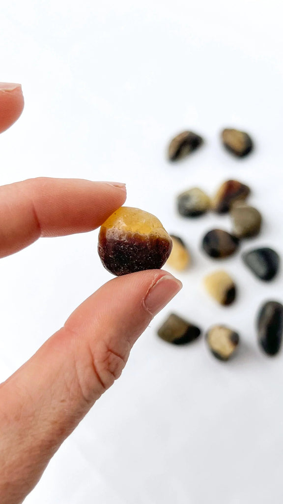Septarian Tumbles | Mini - Unearthed Crystals