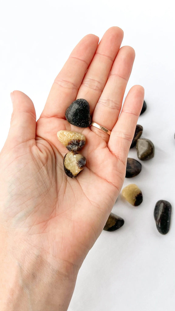 Septarian Tumbles | Mini - Unearthed Crystals