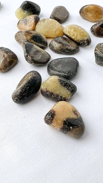 Septarian Tumbles | Small - Unearthed Crystals