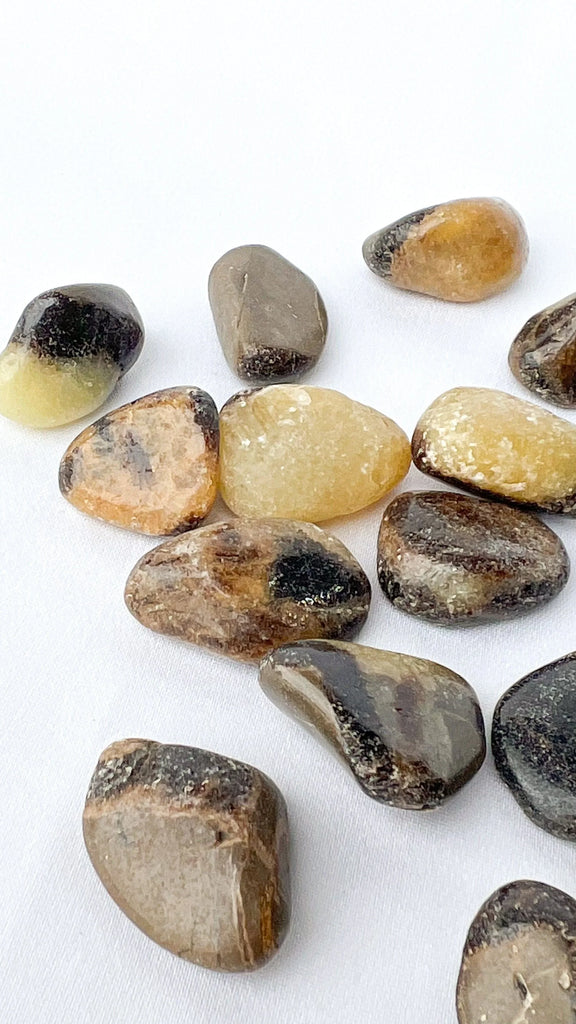 Septarian Tumbles | Small - Unearthed Crystals