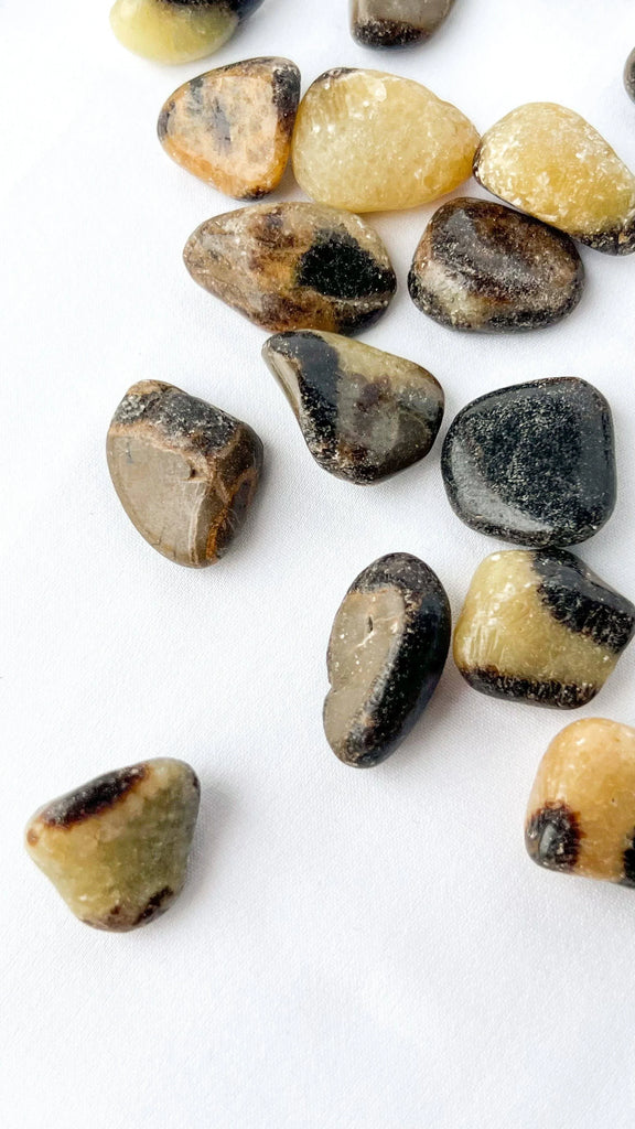 Septarian Tumbles | Small - Unearthed Crystals