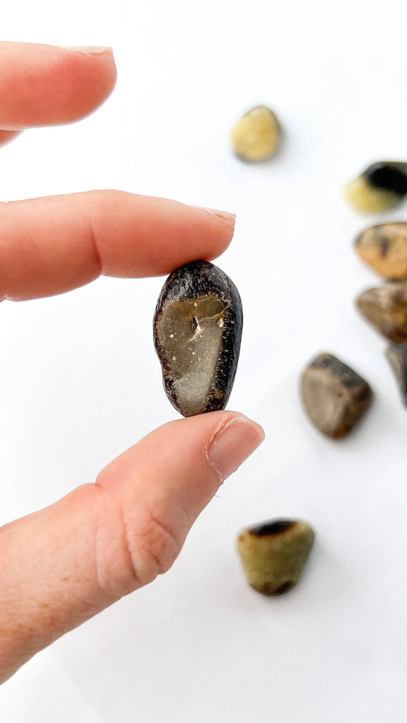 Septarian Tumbles | Small - Unearthed Crystals