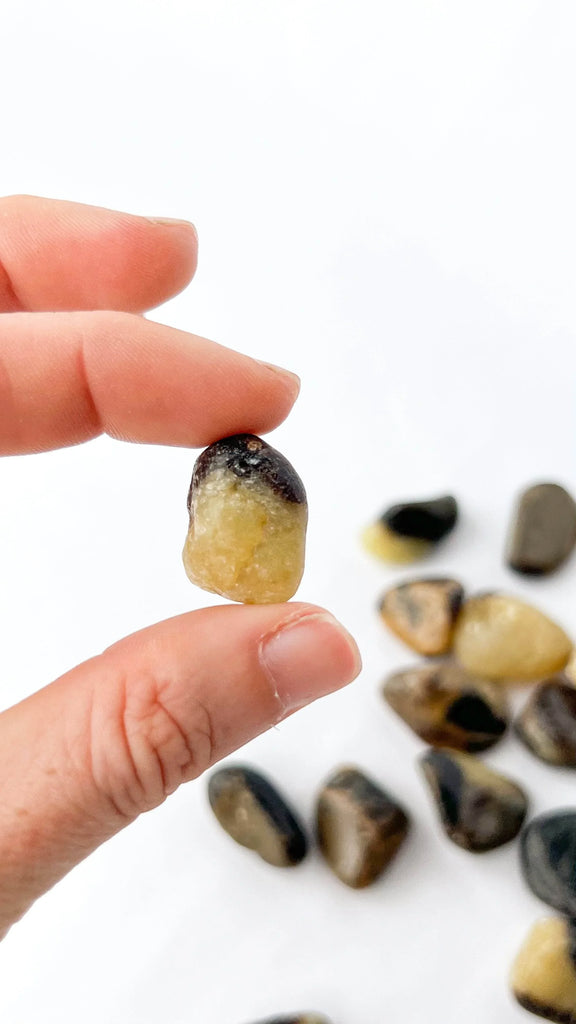 Septarian Tumbles | Small - Unearthed Crystals