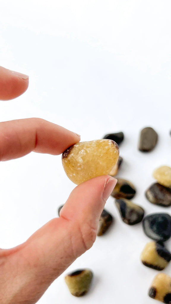 Septarian Tumbles | Small - Unearthed Crystals