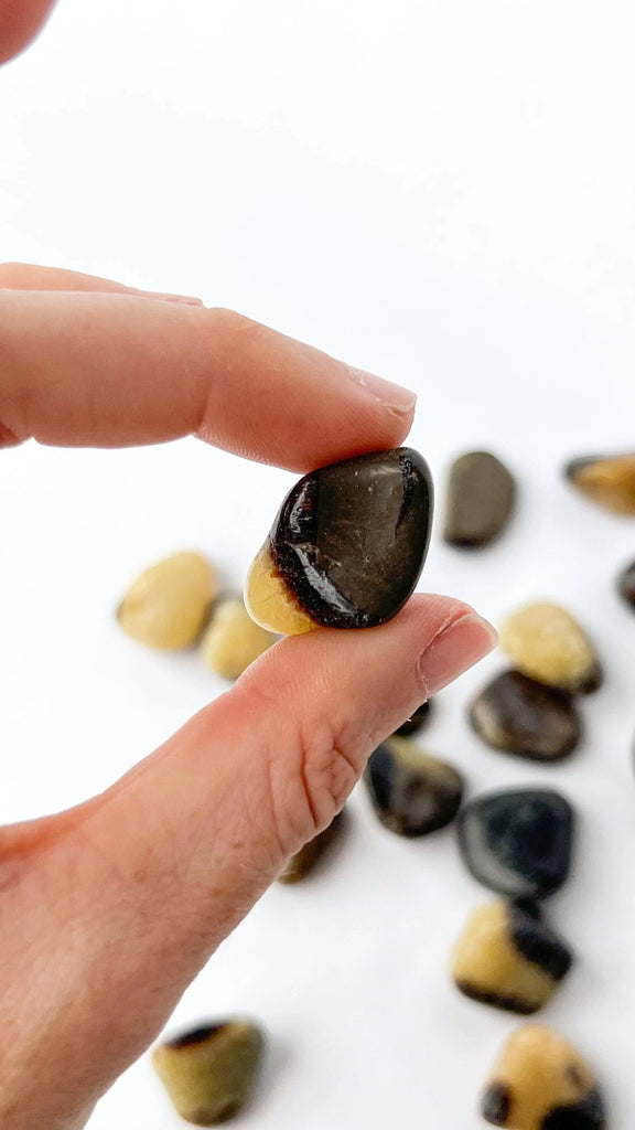 Septarian Tumbles | Small - Unearthed Crystals