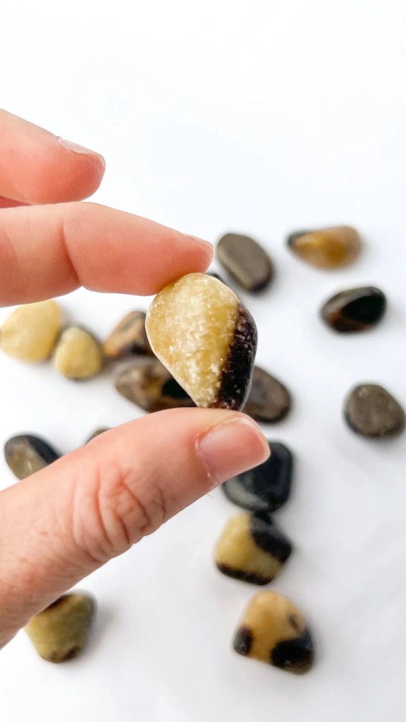Septarian Tumbles | Small - Unearthed Crystals