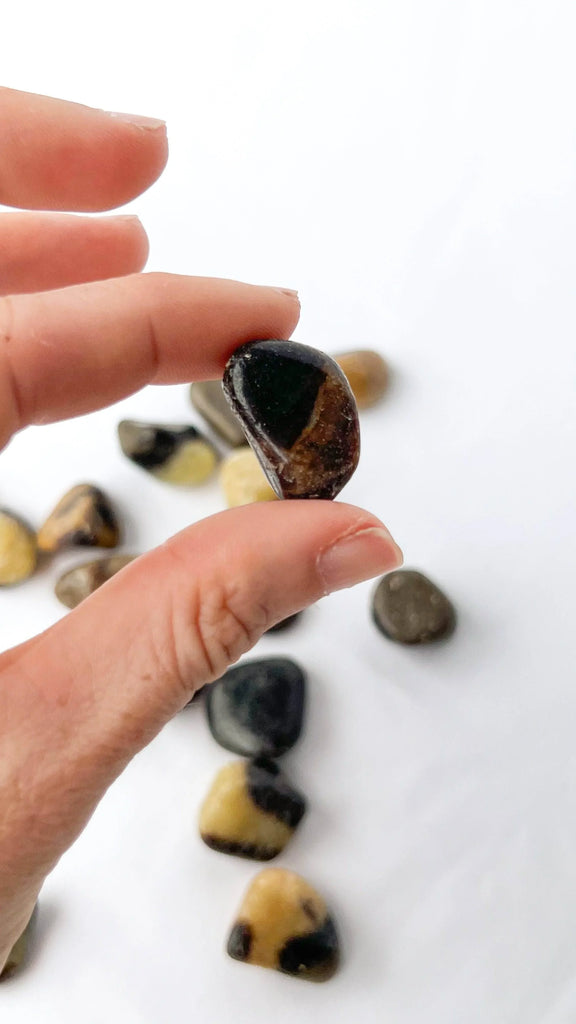 Septarian Tumbles | Small - Unearthed Crystals