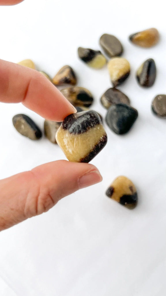 Septarian Tumbles | Small - Unearthed Crystals