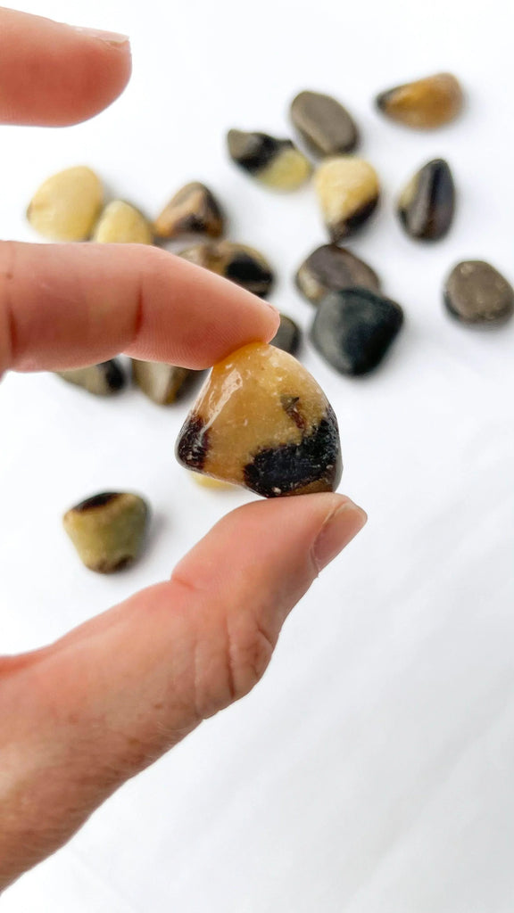 Septarian Tumbles | Small - Unearthed Crystals