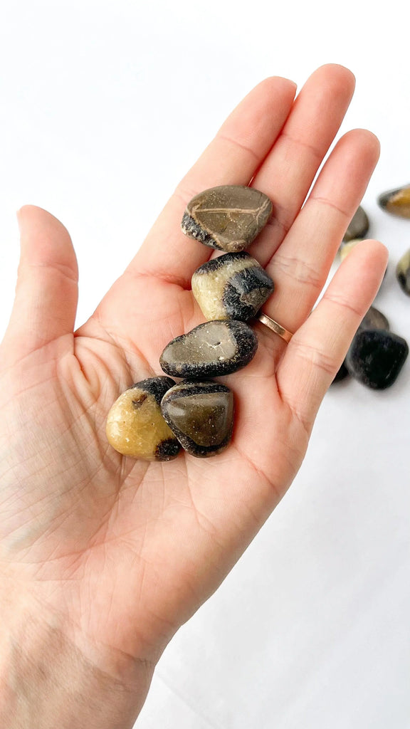 Septarian Tumbles | Small - Unearthed Crystals