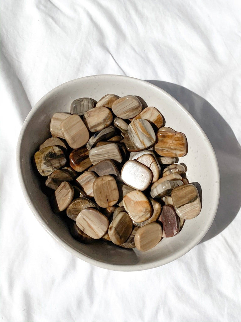 Petrified Wood Coin - Unearthed Crystals