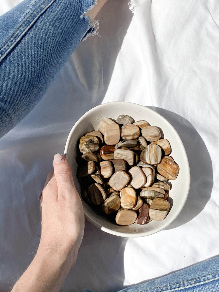 Petrified Wood Coin - Unearthed Crystals