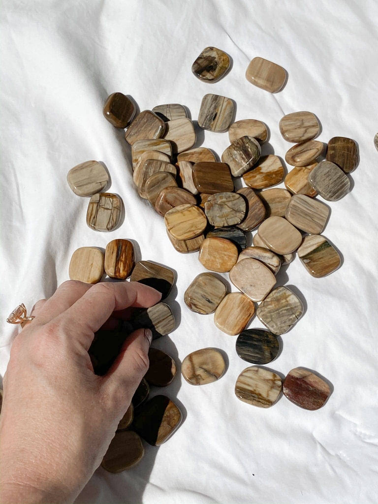 Petrified Wood Coin - Unearthed Crystals