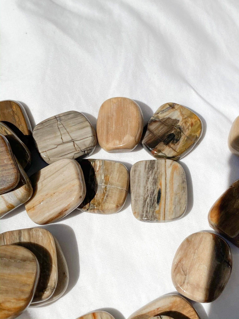 Petrified Wood Coin - Unearthed Crystals