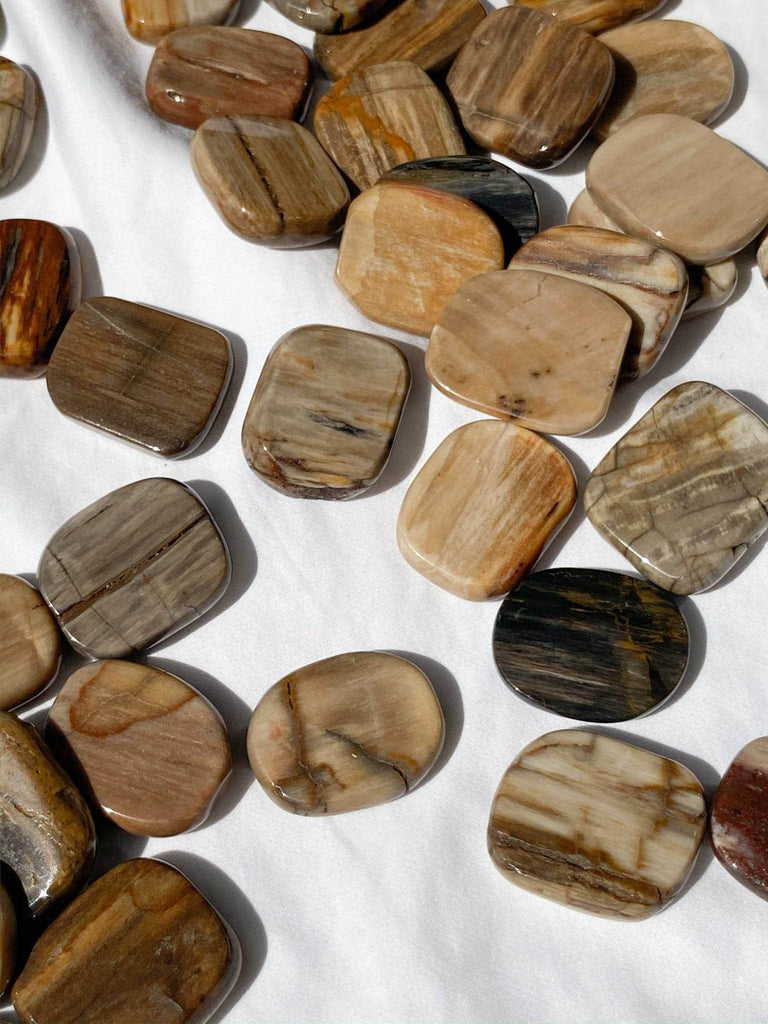 Petrified Wood Coin - Unearthed Crystals