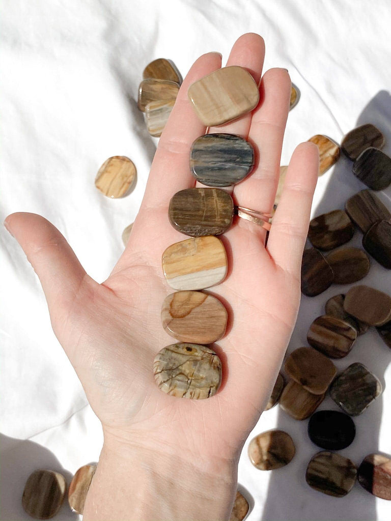 Petrified Wood Coin - Unearthed Crystals