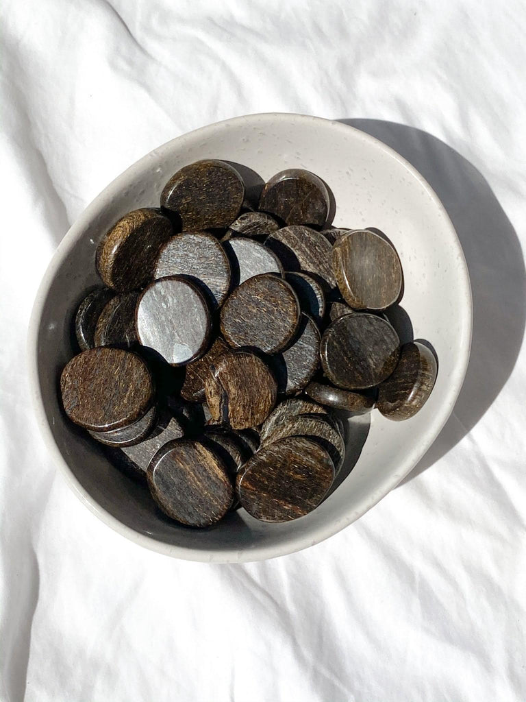 Bronzite Coin - Unearthed Crystals