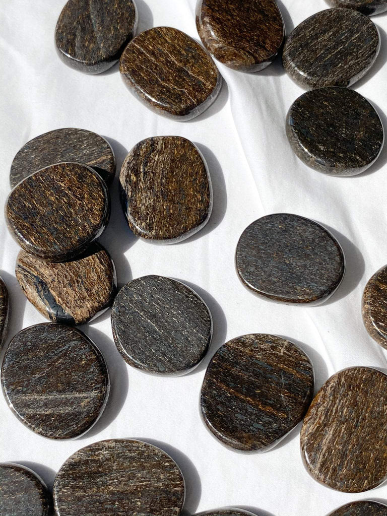 Bronzite Coin - Unearthed Crystals