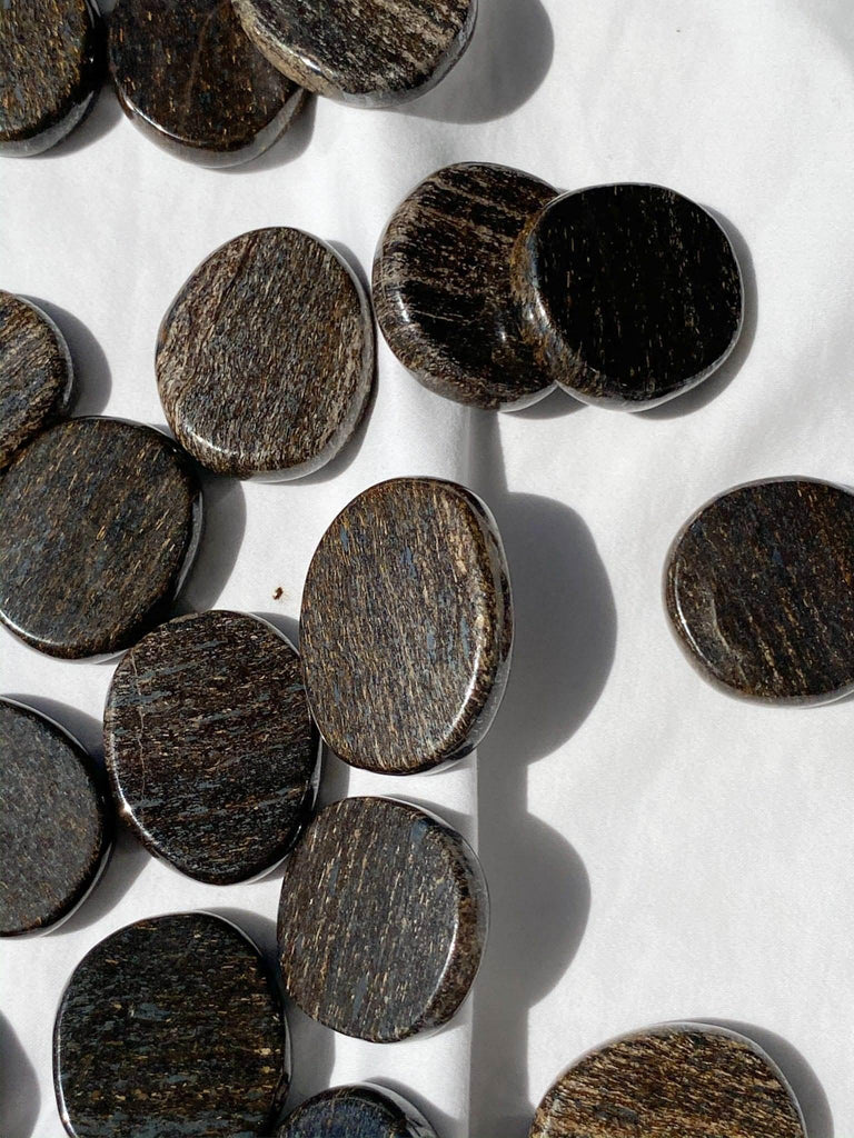 Bronzite Coin - Unearthed Crystals