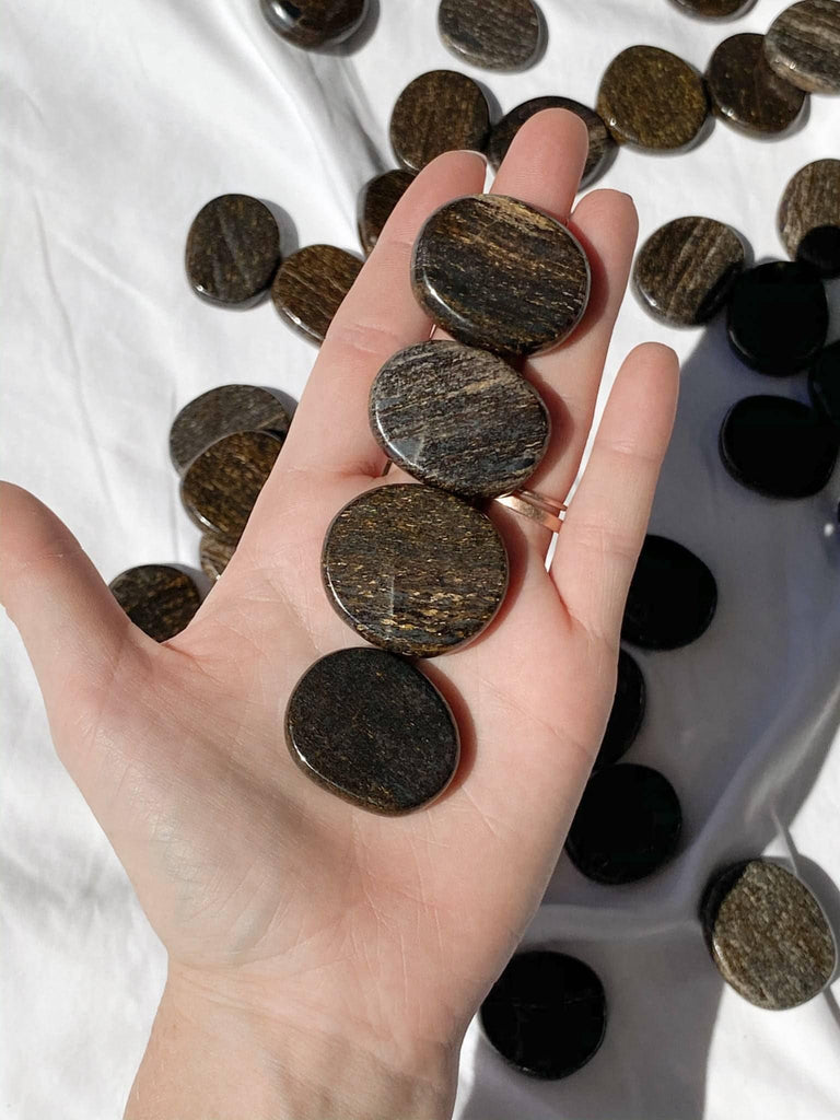 Bronzite Coin - Unearthed Crystals