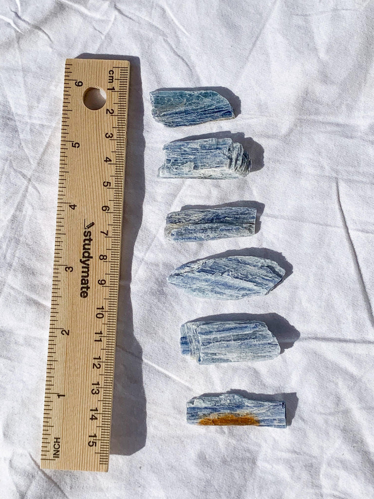 Kyanite Blade Rough | Extra Small - Unearthed Crystals