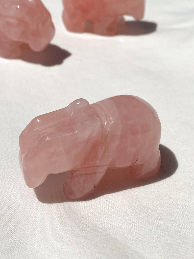 Rose Quartz Hippo Carving | Small - Unearthed Crystals