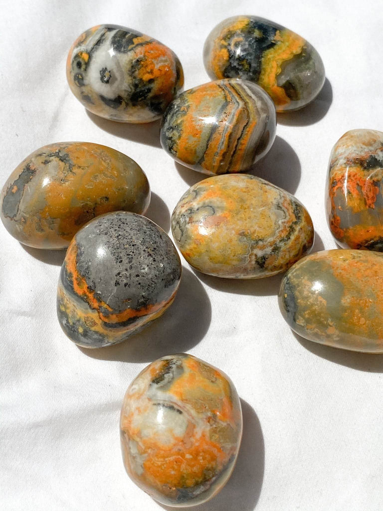 Bumble Bee Jasper Tumbles | Large - Unearthed Crystals