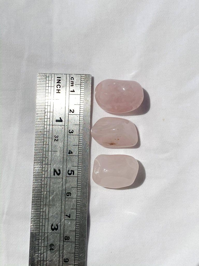 Rose Quartz Tumbles | Small - Unearthed Crystals