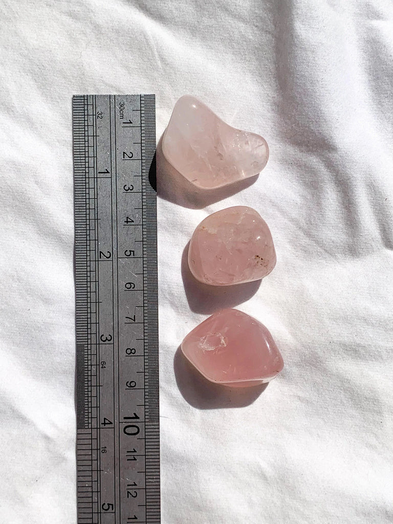 Rose Quartz Tumbles | Medium - Unearthed Crystals