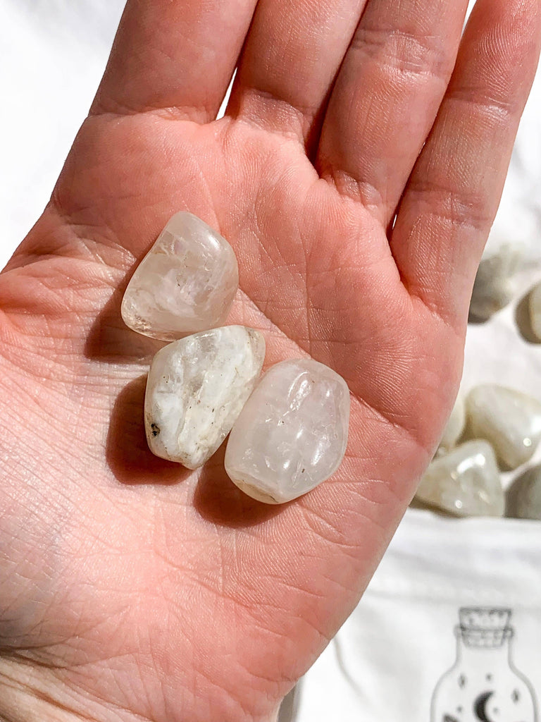 White Moonstone Tumbles | Small - Unearthed Crystals