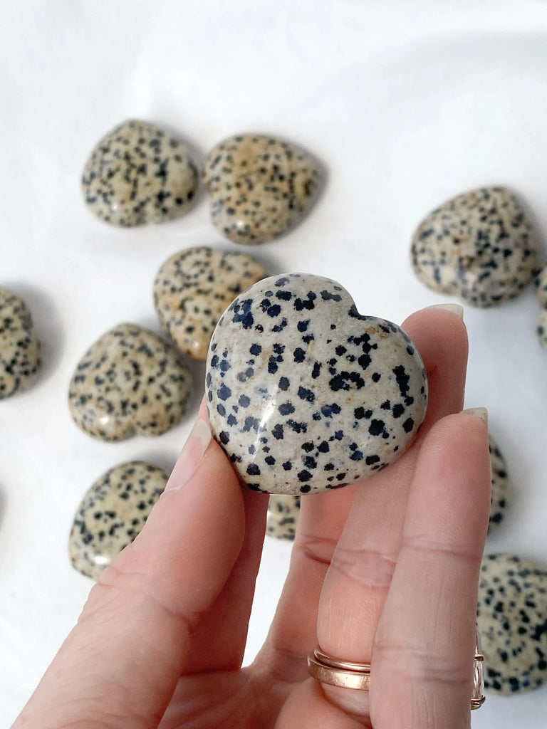 Dalmatian Jasper Heart | Medium - Unearthed Crystals