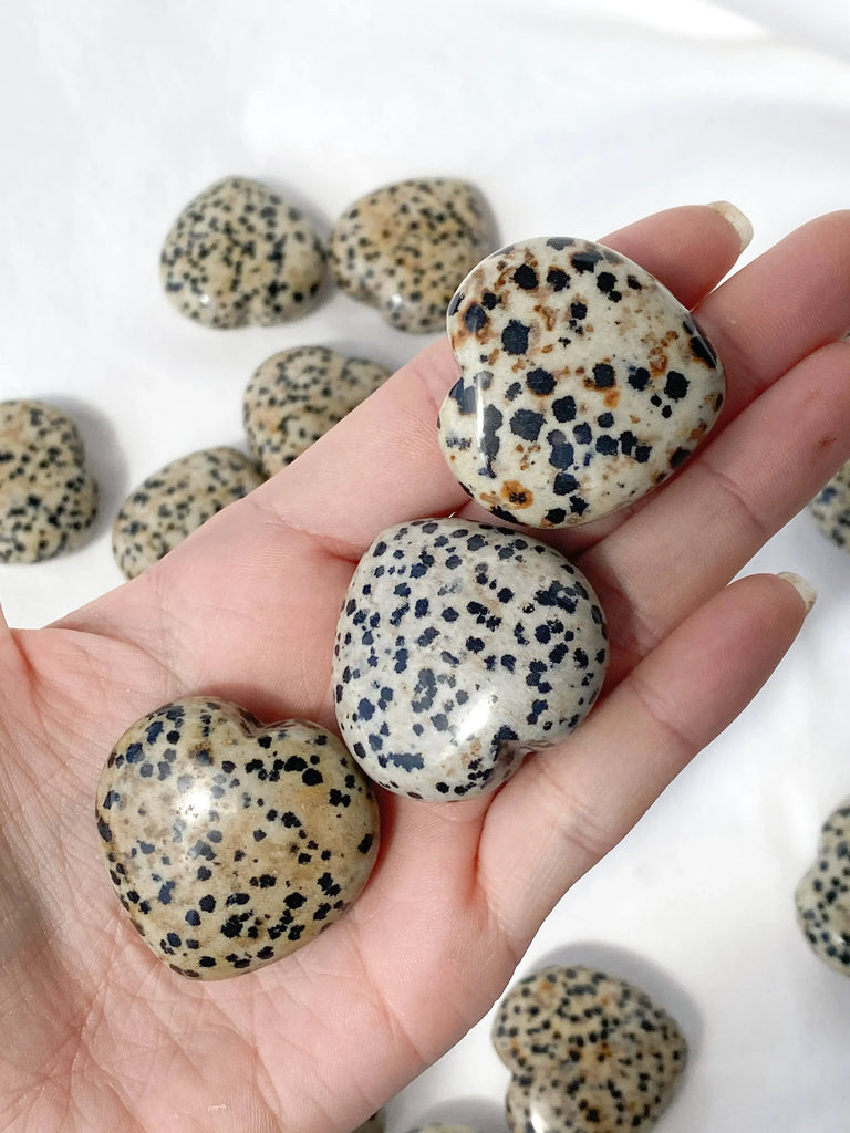 Dalmatian Jasper Heart | Medium - Unearthed Crystals