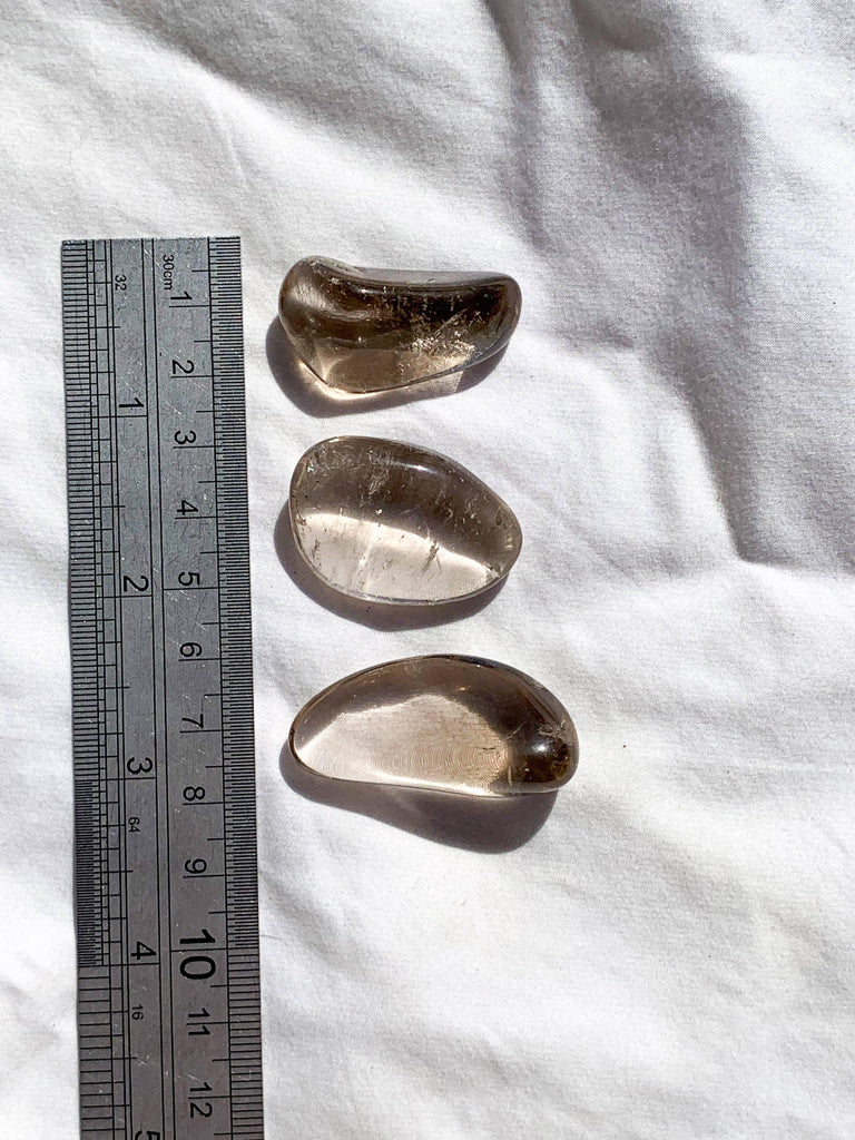 Smokey Quartz Tumbles | Small - Unearthed Crystals