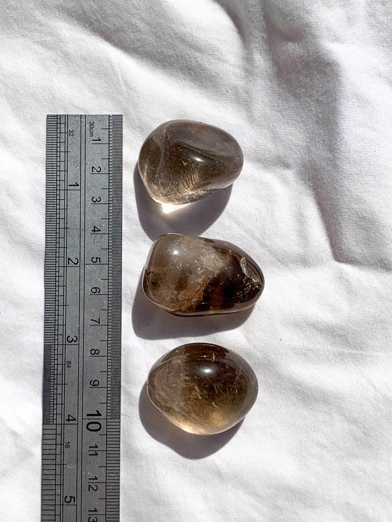 Smokey Quartz Tumbles | Large - Unearthed Crystals
